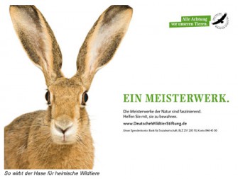 Achtung Wild! Meisterwerke werben für heimische Wildtiere