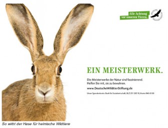 Achtung Wild! Meisterwerke werben für heimische Wildtiere