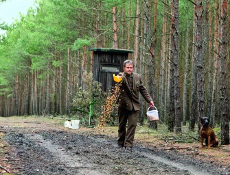Schadlos glücklich!