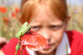 Wochenend-Tipp: 11. GEO-Tag der Artenvielfalt