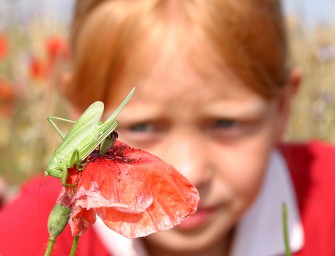 Wochenend-Tipp: 11. GEO-Tag der Artenvielfalt