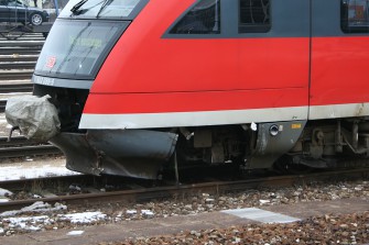 Brandenburg: Anzahl der Wildunfälle in Ortschaften stark gestiegen