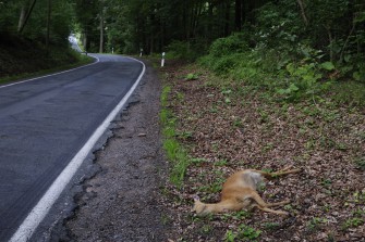 Weinende Kinder, klagende Rehe