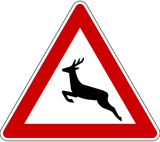 wildwechsel.jpg