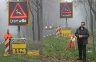 Über 27.700 Wildunfälle in Niedersachsen allein mit Schalenwild