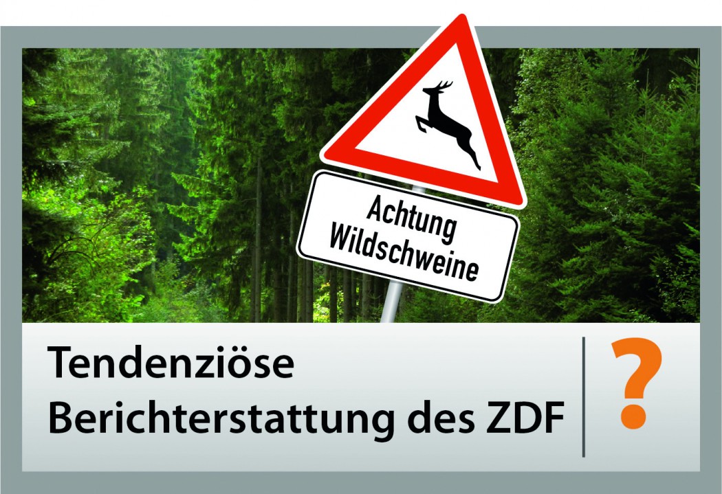 zdf_petition_bild.jpg