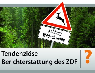 Der Würfel ist gefallen  ZDF-Fernsehrat hat getagt