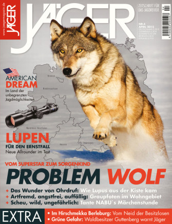 Vom Superstar zum Sorgenkind: Problem Wolf