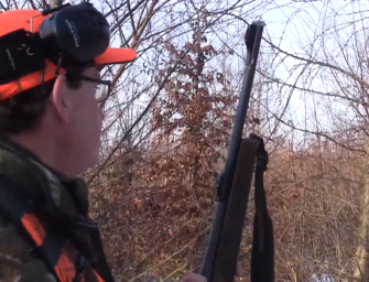 Schwedische Saujagd mit Mikael Tham Teil 2