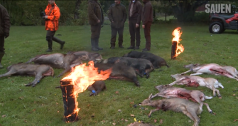 Schwedische Saujagd mit Mikael Tham Teil 5