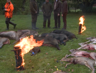 Schwedische Saujagd mit Mikael Tham Teil 5