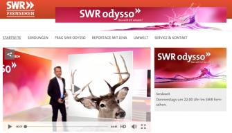 Wie viel Jagd brauchen wir?