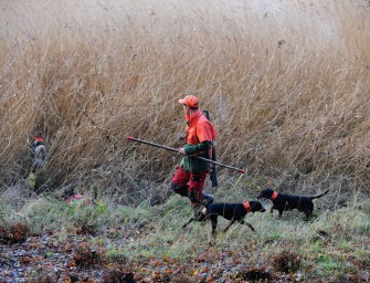Dem Hundeführer über die Schulter geschaut