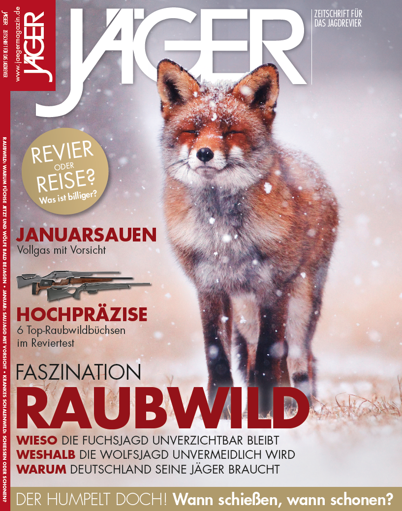 titel_januar.png