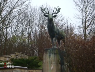 Die Schorfheide im Wandel der Zeit