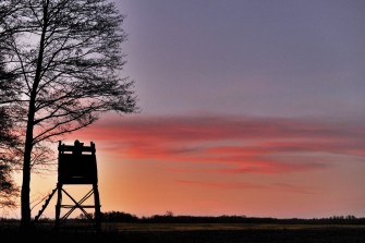 Verpassen Sie Brüssel einen Denkzettel!