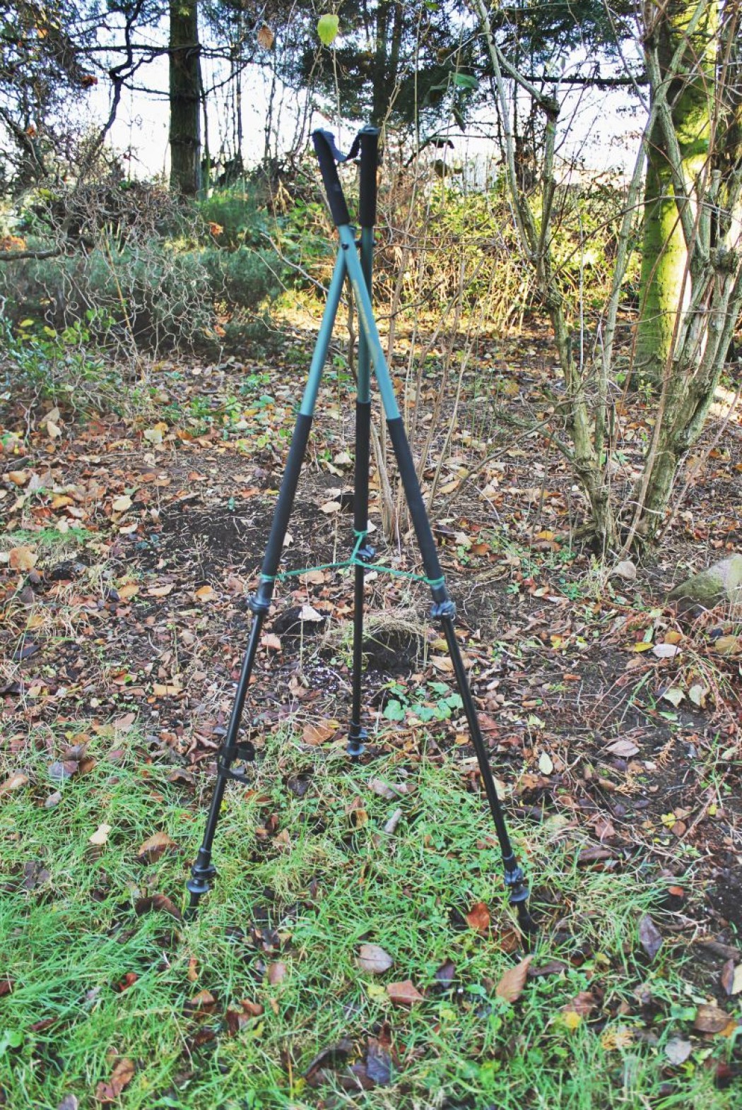 Knobloch Dreibein Zielstock