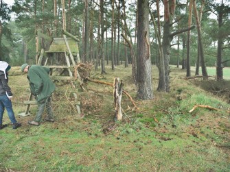 Verwirrspiel um Wolfsattacke in der Göhrde