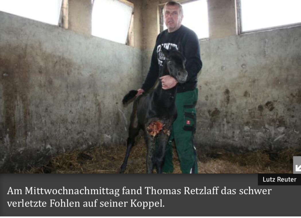 Bildschirmfoto 2015-07-13 um 16.07.53
