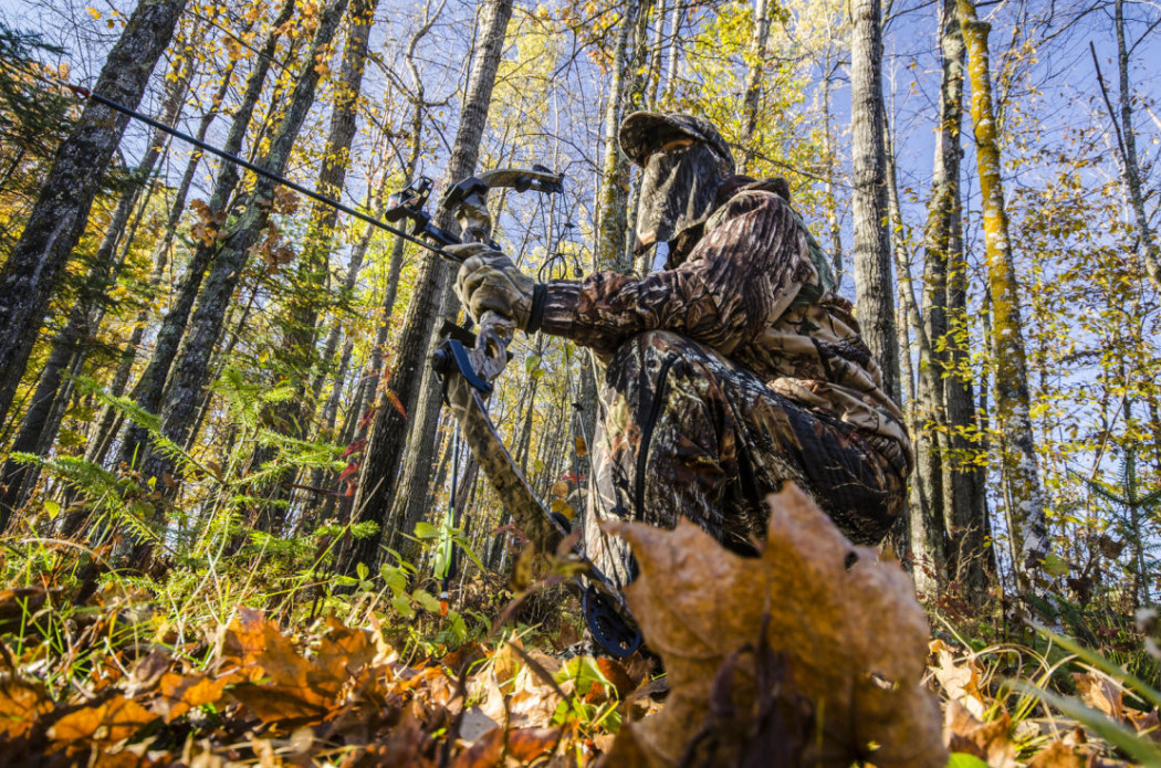 Bowhunting Bogenjagd Fotolia