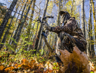 Bogenjagd in Deutschland?