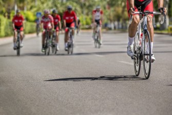 Schafzüchter wollen Tour de France blockieren.