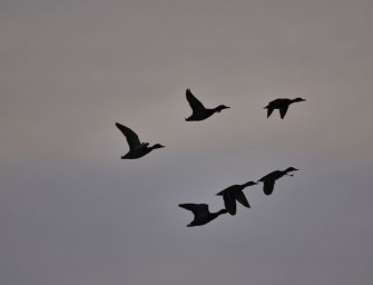 Lüneburg: Klatsche für den Landkreis – Eigentum schlägt Verbotsgeilheit