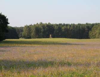 Die Wilddiebe – Wo wir jagen