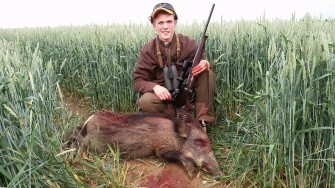 Pirsch auf Weizenschweine