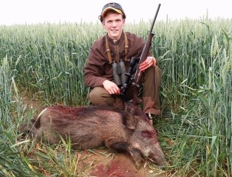 Pirsch auf Weizenschweine