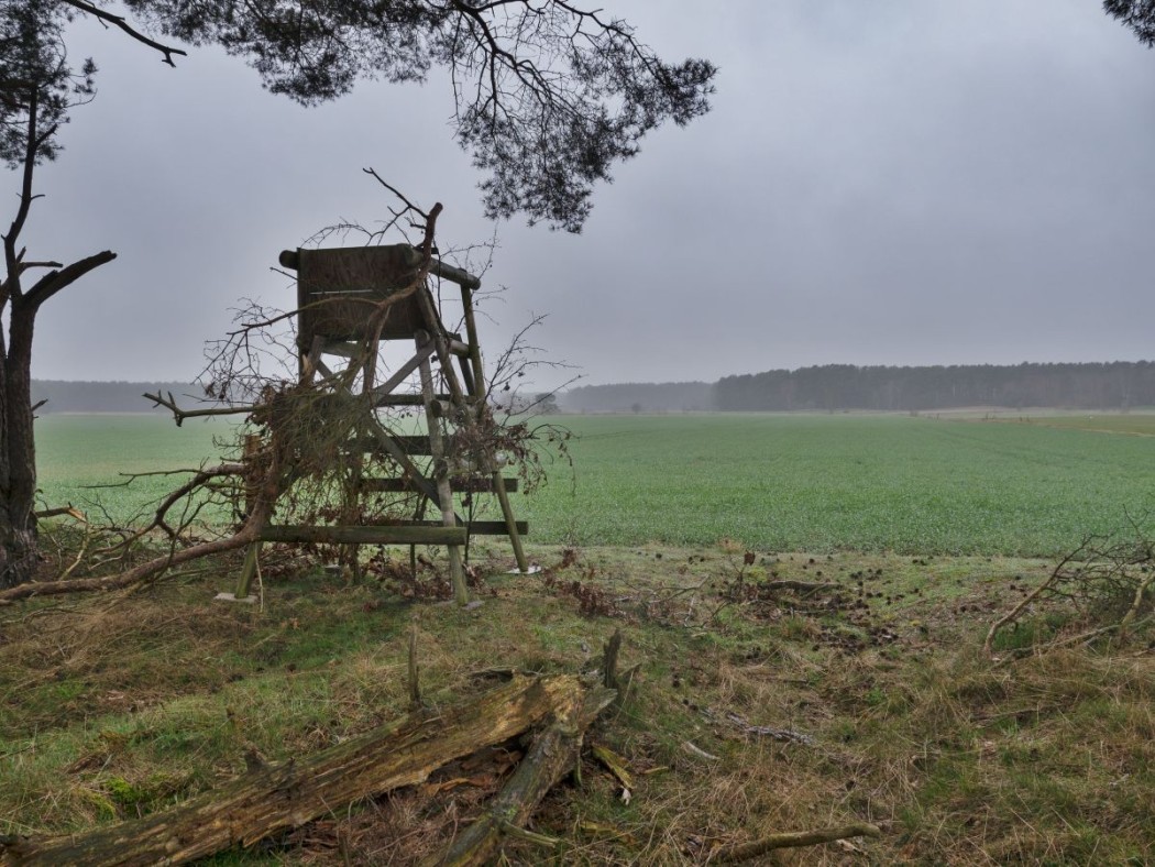 Der Ort der vermeintlichen Wolfsattacke ©jaegermagazin