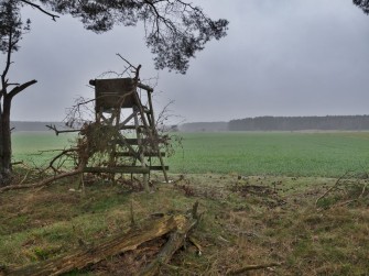 Mutmaßliche Wolfsattacke von Boitze wirft weiter Fragen auf