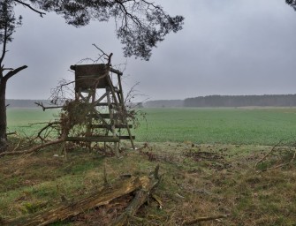 Mutmaßliche Wolfsattacke von Boitze wirft weiter Fragen auf