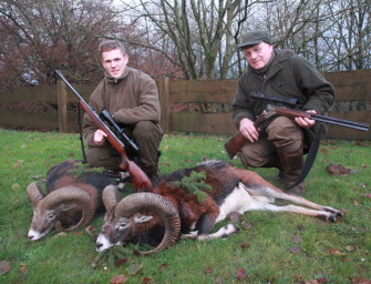 Die Wilddiebe – Muffeljagd im Sauerland