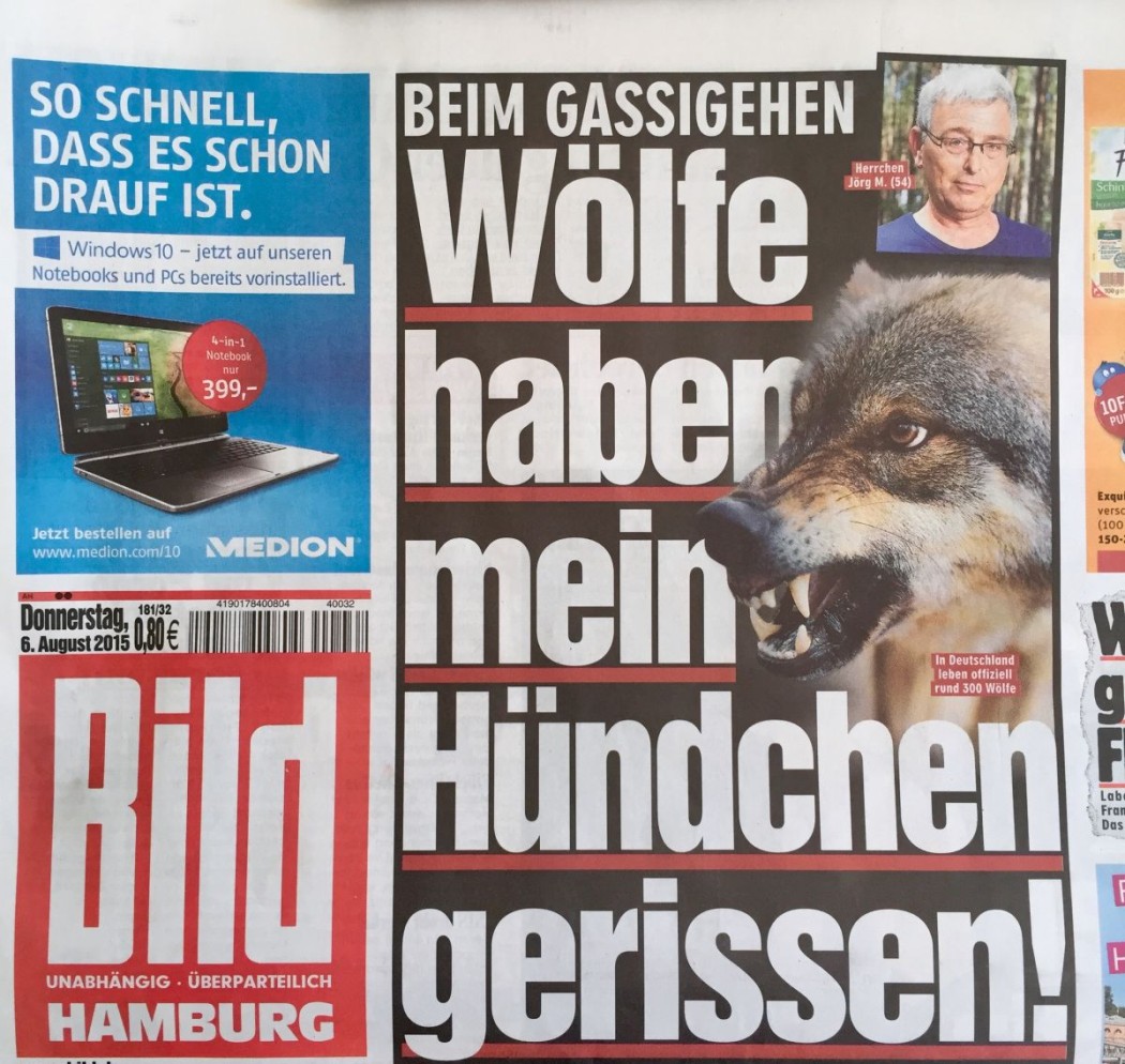 Screenshot ©BILD