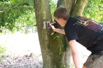 Wildkameras im Revier