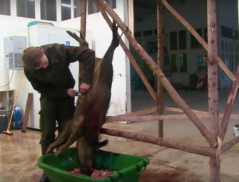 Aufbrechen im Hängen