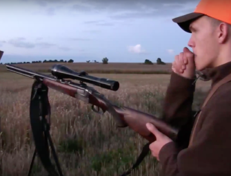 Blattzeit Highlights 2015