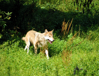 450.000 Euro für unklare Strukturen?