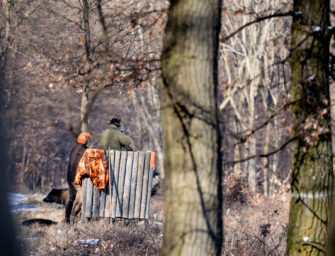 Immer im Bilde – die optimale Drückjagdkarte