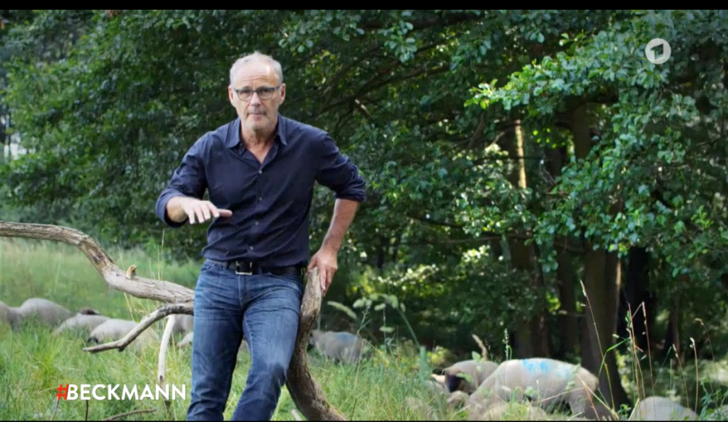 Beckmann und der Wolfsmörder – ©Screenshot ARD