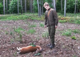 Damwildpirsch im Juli