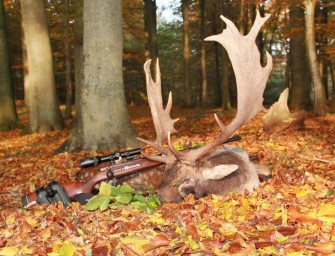 Der einäugige Schaufler
