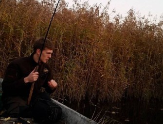 Morgens Damwild, abends Hecht