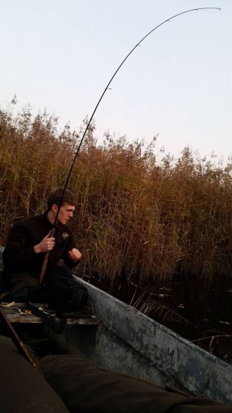 Morgens Damwild, abends Hecht