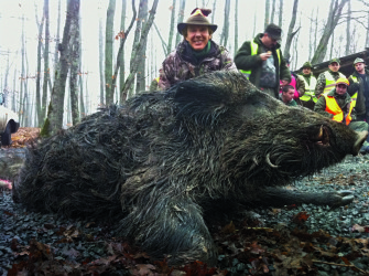 Grenzenlos jagen – Drückjagden im Ausland