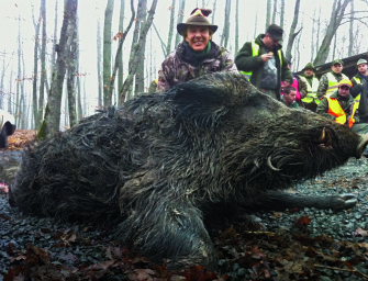 Grenzenlos jagen – Drückjagden im Ausland