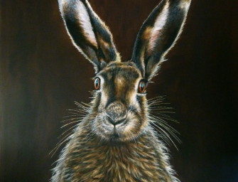 Wo Fuchs und Hase sich „Guten Tag“ sagen