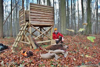 Drückjagd an der Ostseeküste