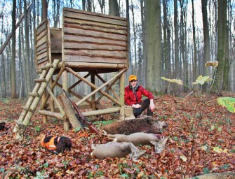 Drückjagd an der Ostseeküste